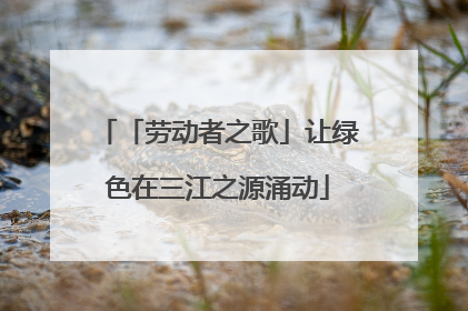 「劳动者之歌」让绿色在三江之源涌动