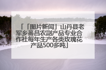 「图片新闻」山丹县老军乡蕃昌农副产品专业合作社每年生产各类玫瑰花产品500多吨