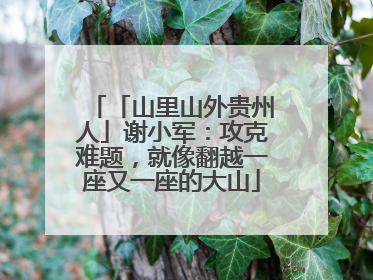 「山里山外贵州人」谢小军：攻克难题，就像翻越一座又一座的大山
