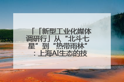 「新型工业化媒体调研行」从“北斗七星”到“热带雨林”：上海AI生态的技术商业共生密码