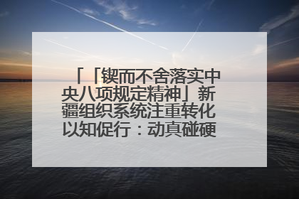 「锲而不舍落实中央八项规定精神」新疆组织系统注重转化以知促行：动真碰硬抓好整改整治