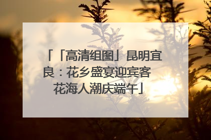 「高清组图」昆明宜良：花乡盛宴迎宾客 花海人潮庆端午