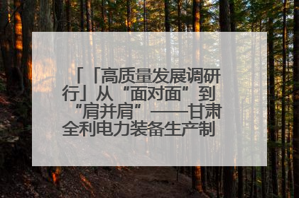 「高质量发展调研行」从“面对面”到“肩并肩”——甘肃全利电力装备生产制造项目一线见闻