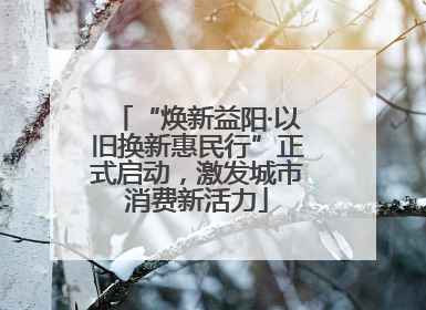 “焕新益阳·以旧换新惠民行”正式启动，激发城市消费新活力