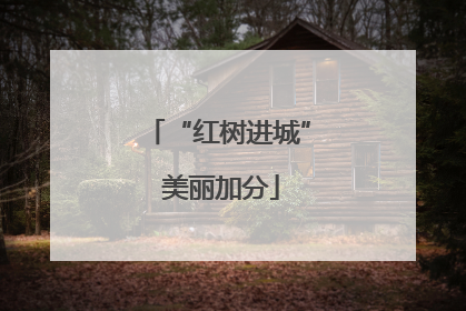 “红树进城” 美丽加分