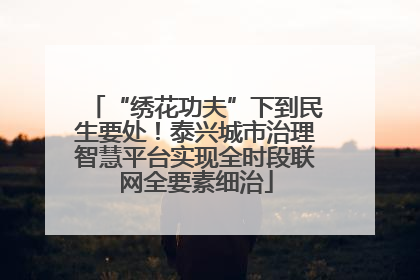 “绣花功夫”下到民生要处！泰兴城市治理智慧平台实现全时段联网全要素细治