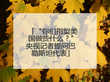 “你们指望美国做些什么？”央视记者提问巴勒斯坦代表