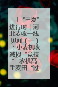 “三夏”进行时｜河北麦收一线见闻（一）：小麦机收减损“竞技” 农机高手麦田“过招”