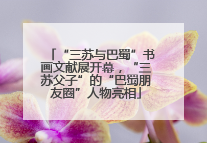 “三苏与巴蜀”书画文献展开幕，“三苏父子”的“巴蜀朋友圈”人物亮相