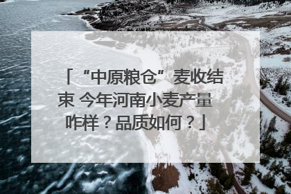 “中原粮仓”麦收结束 今年河南小麦产量咋样？品质如何？