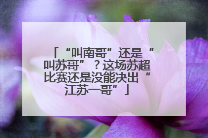 “叫南哥”还是“叫苏哥”？这场苏超比赛还是没能决出“江苏一哥”
