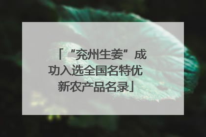 “兖州生姜”成功入选全国名特优新农产品名录