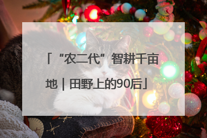“农二代”智耕千亩地｜田野上的90后