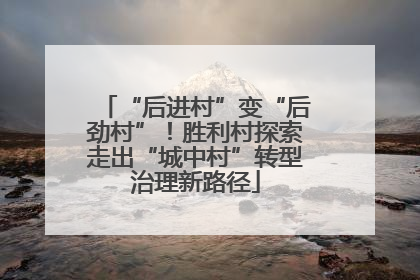“后进村”变“后劲村”！胜利村探索走出“城中村”转型治理新路径