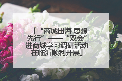 “商城出海 思想先行”——“双会”进商城学习调研活动在临沂顺利开展