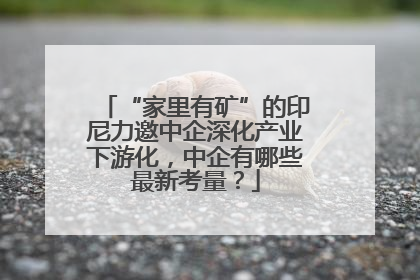 “家里有矿”的印尼力邀中企深化产业下游化，中企有哪些最新考量？