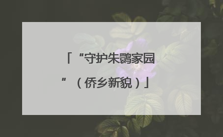 “守护朱鹮家园”（侨乡新貌）