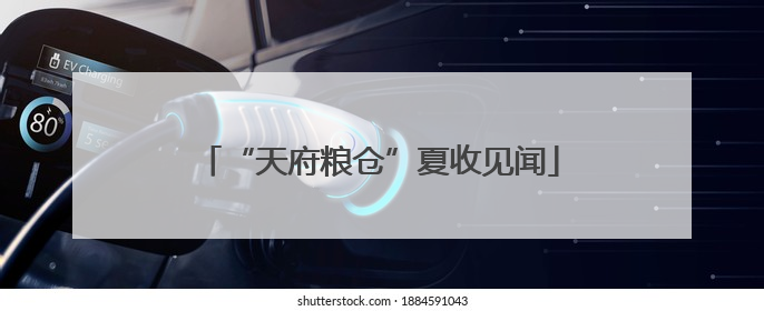 “天府粮仓”夏收见闻