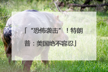 “恐怖袭击”！特朗普：美国绝不容忍