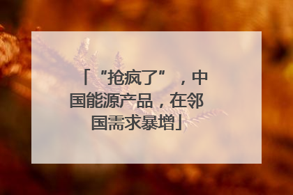 “抢疯了”，中国能源产品，在邻国需求暴增