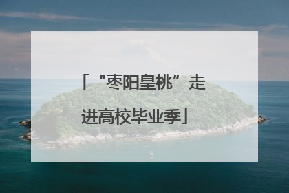 “枣阳皇桃”走进高校毕业季