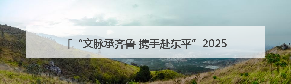 “文脉承齐鲁 携手赴东平”2025东平湖文旅走进济宁推介会圆满举办