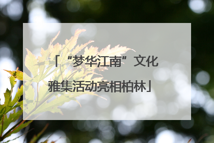 “梦华江南”文化雅集活动亮相柏林