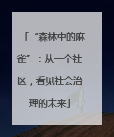 “森林中的麻雀”：从一个社区，看见社会治理的未来