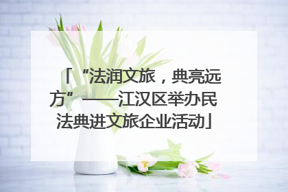 “法润文旅，典亮远方”——江汉区举办民法典进文旅企业活动