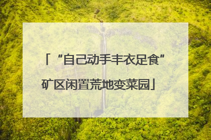 “自己动手丰衣足食”矿区闲置荒地变菜园