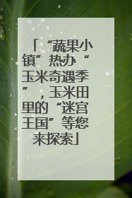 “蔬果小镇”热办“玉米奇遇季”，玉米田里的“迷宫王国”等您来探索