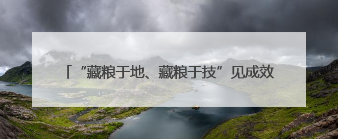 “藏粮于地、藏粮于技”见成效 盐碱滩涂变身“黄金粮仓”