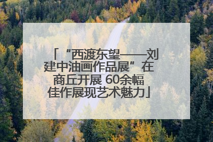“西渡东望——刘建中油画作品展”在商丘开展 60余幅佳作展现艺术魅力