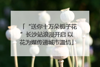 “送你十万朵栀子花”长沙站浪漫开启 以花为媒传递城市温情
