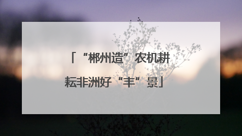 “郴州造”农机耕耘非洲好“丰”景