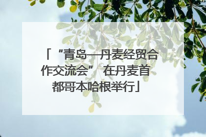 “青岛—丹麦经贸合作交流会” 在丹麦首都哥本哈根举行