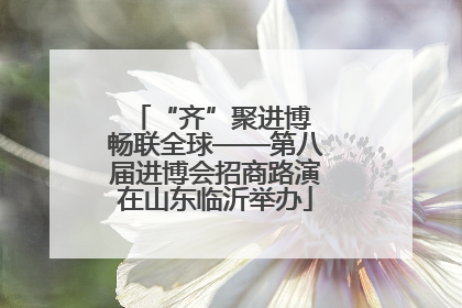 “齐”聚进博 畅联全球——第八届进博会招商路演在山东临沂举办