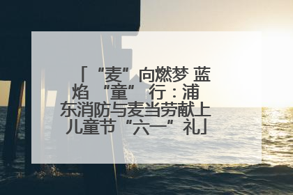 “麦”向燃梦 蓝焰 “童” 行：浦东消防与麦当劳献上儿童节“六一”礼