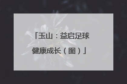 玉山：益启足球 健康成长（图）