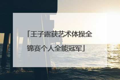 王子露获艺术体操全锦赛个人全能冠军