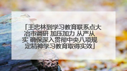 王忠林到学习教育联系点大冶市调研 加压加力 从严从实 确保深入贯彻中央八项规定精神学习教育取得实效