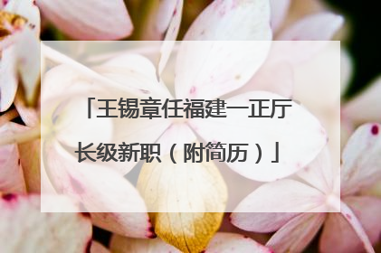 王锡章任福建一正厅长级新职（附简历）