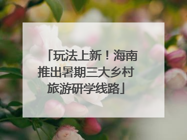 玩法上新！海南推出暑期三大乡村旅游研学线路