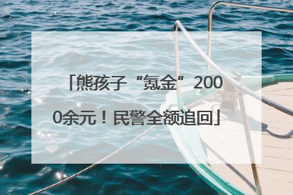 熊孩子“氪金”2000余元！民警全额追回
