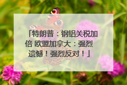 特朗普：钢铝关税加倍 欧盟加拿大：强烈遗憾！强烈反对！