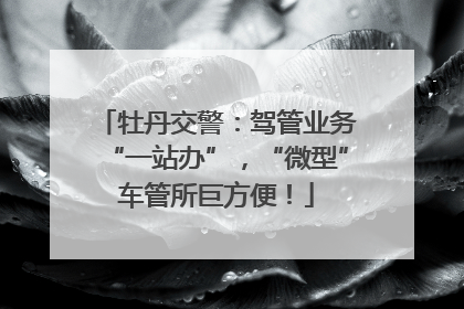 牡丹交警：驾管业务“一站办”，“微型”车管所巨方便！