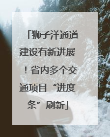 狮子洋通道建设有新进展！省内多个交通项目“进度条”刷新