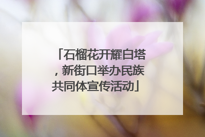 石榴花开耀白塔，新街口举办民族共同体宣传活动