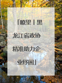 瞭望丨黑龙江省政协精准助力企业纾困