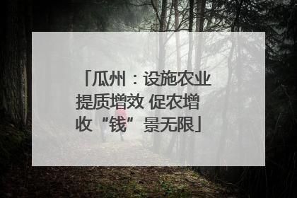 瓜州：设施农业提质增效 促农增收“钱”景无限